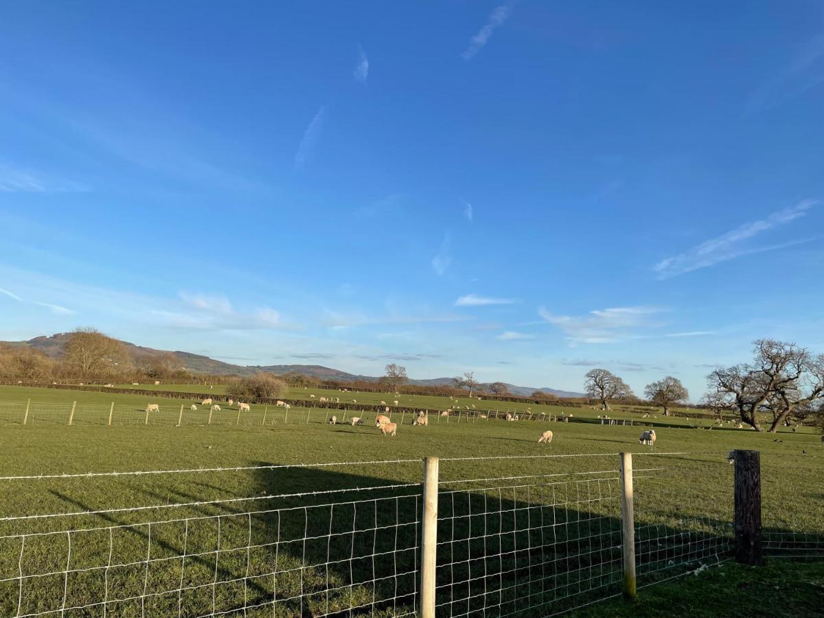מלון Rhuddlan Abbey Farm Luxury Glamping מראה חיצוני תמונה
