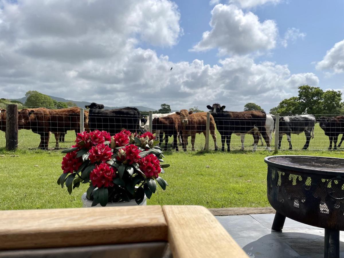מלון Rhuddlan Abbey Farm Luxury Glamping מראה חיצוני תמונה