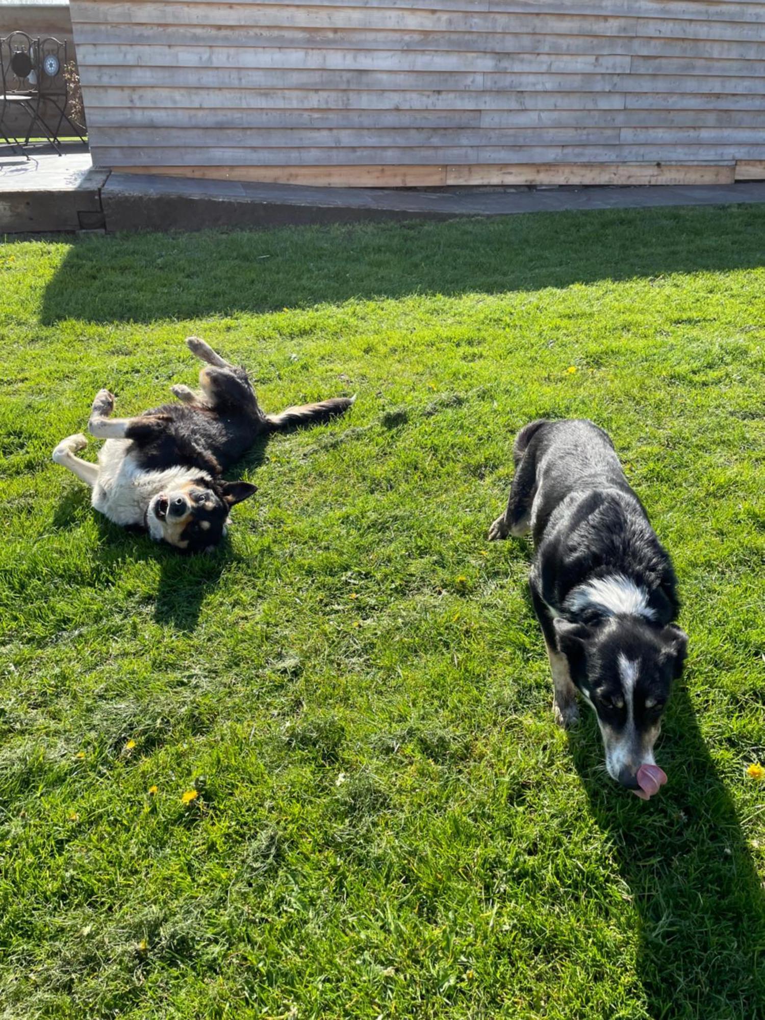מלון Rhuddlan Abbey Farm Luxury Glamping מראה חיצוני תמונה